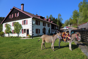 rando-ane-vosges