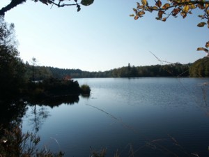 rando-ane-vosges