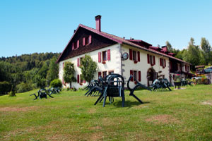 rando quad vosges location randonne 88